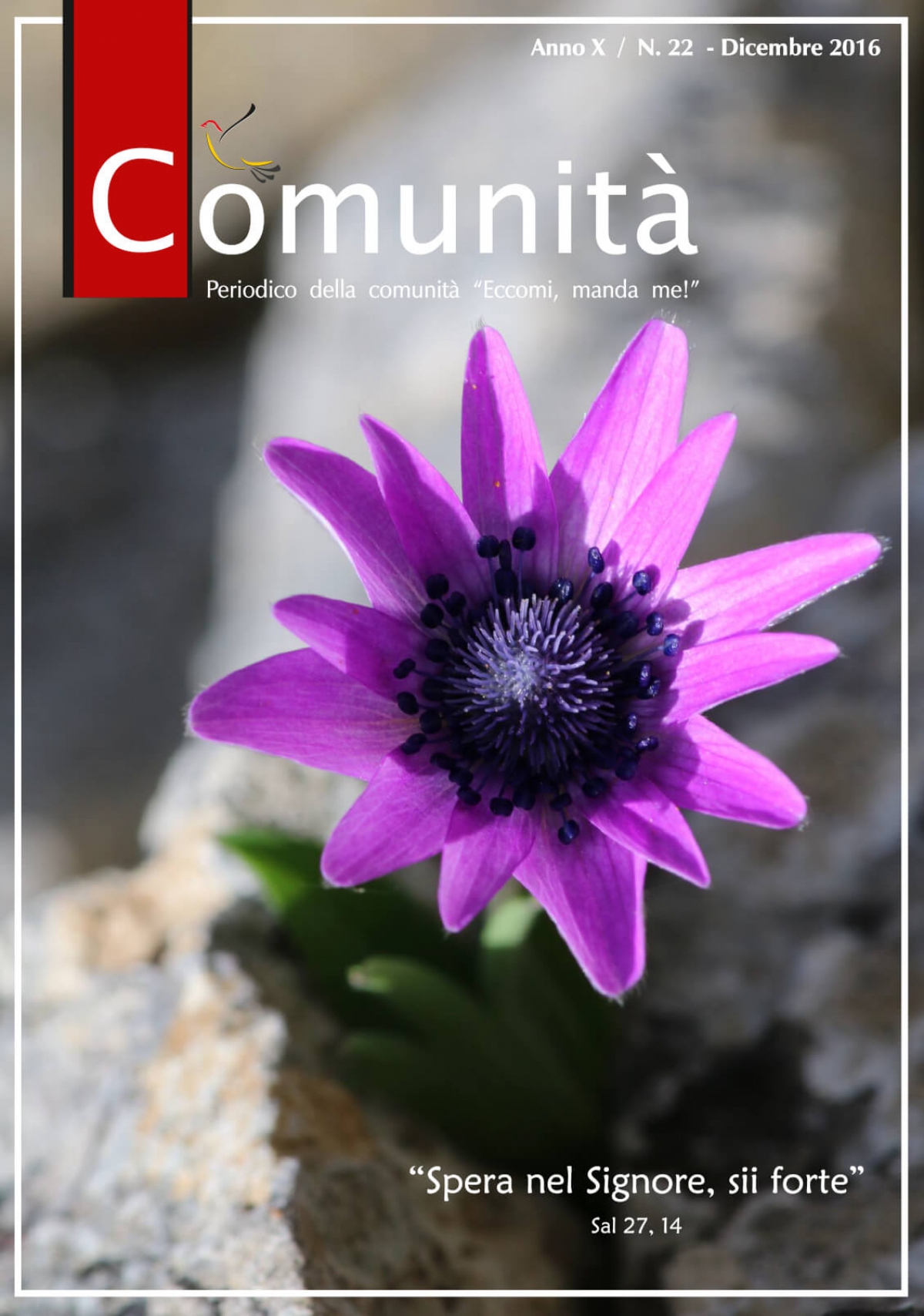 Numero 22 - Dicembre 2016