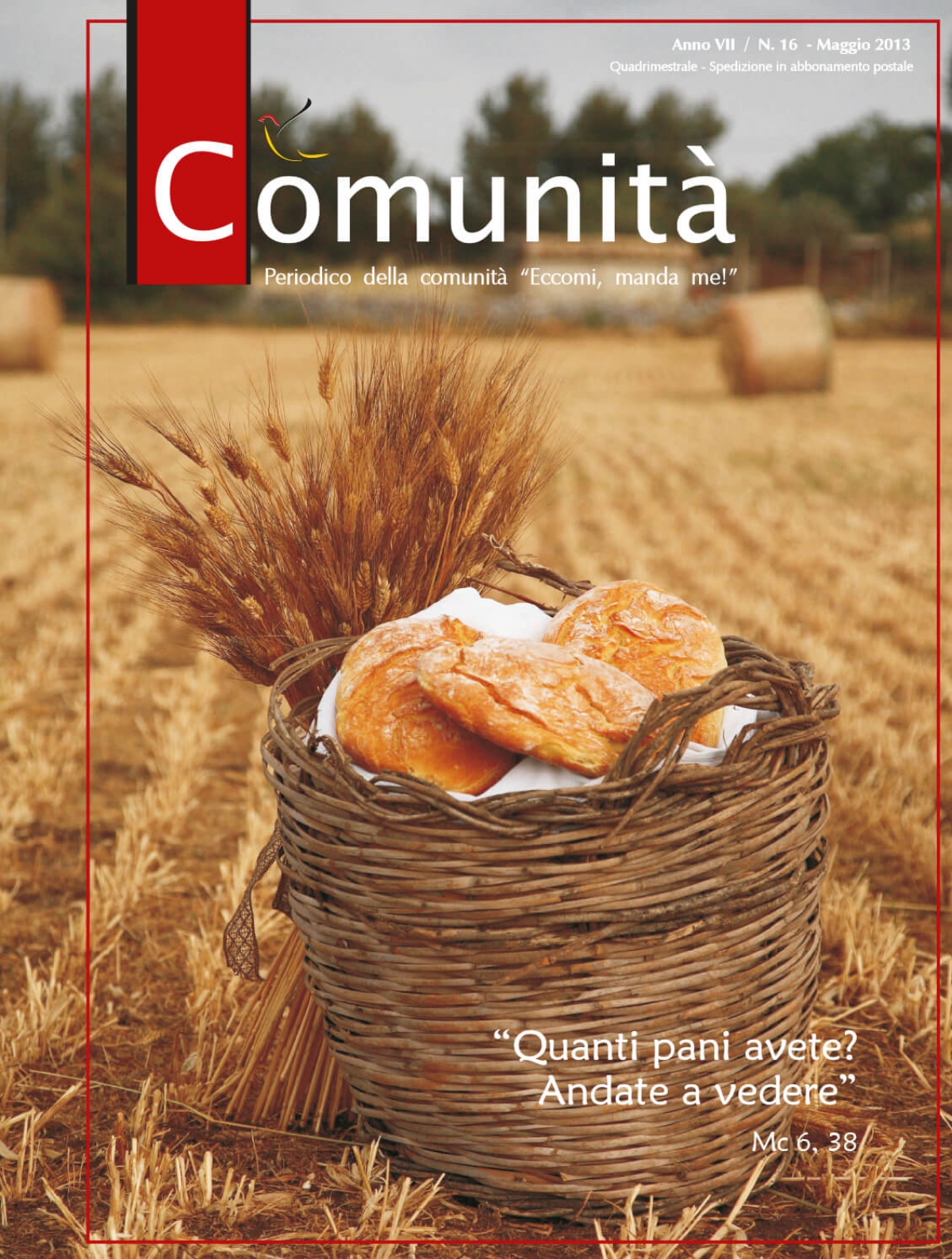 Numero 16 - Maggio 2013