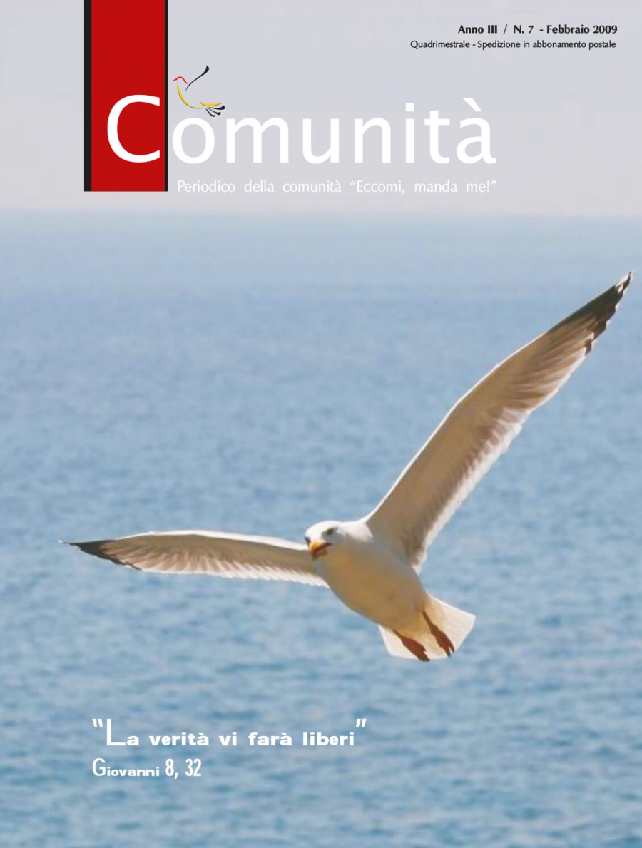 Numero 7 - Febbraio 2009
